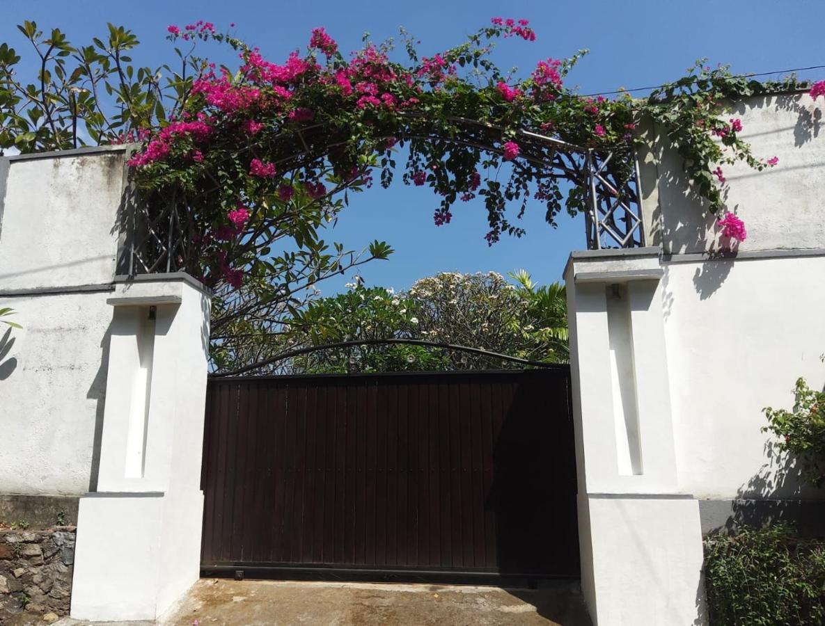 Lovina Paradise Exterior foto